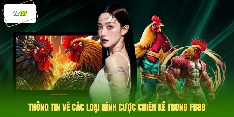 Thông tin về các loại hình cược chiến kê trong FB88